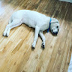 Meet your Posher, Roger and natashia